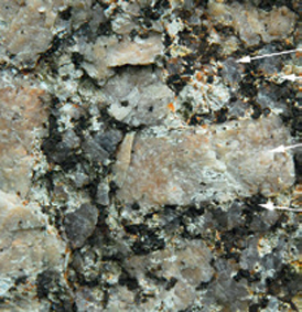 Der Weinsberger Granit ist das dominierende Gestein am Kollmitzberg